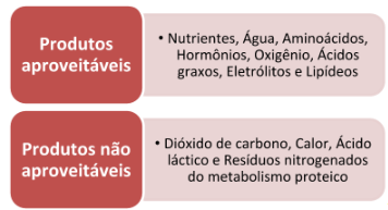 Produtos da circulação sanguínea