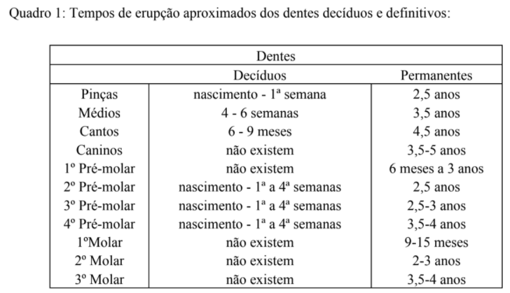 erupção dentária de cavalos