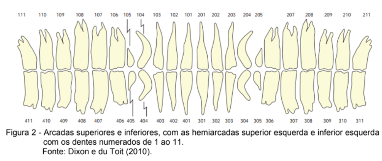 arcadas da boca do cavalo