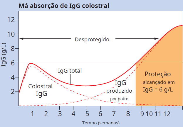avaliação IgG em Potros