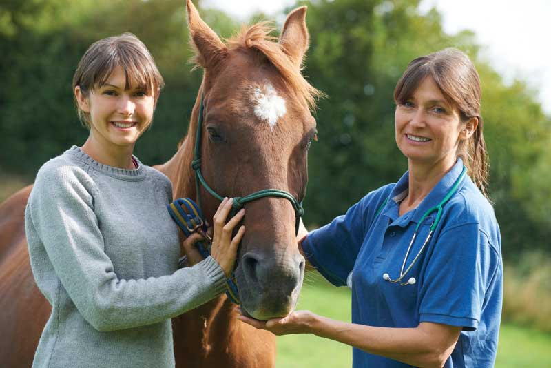 relação veterinário-cliente