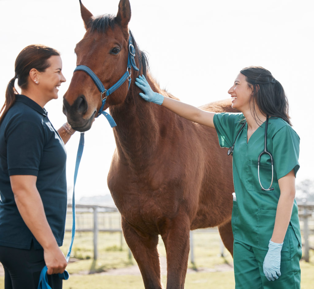 relação veterinário-cliente