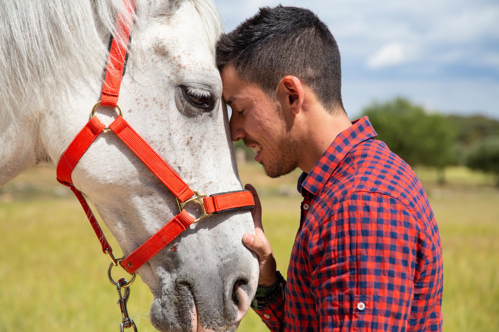 Horsemanship para Cavalos Atletas