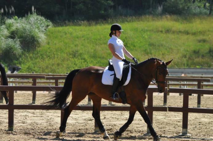 Horsemanship para Cavalos Atletas