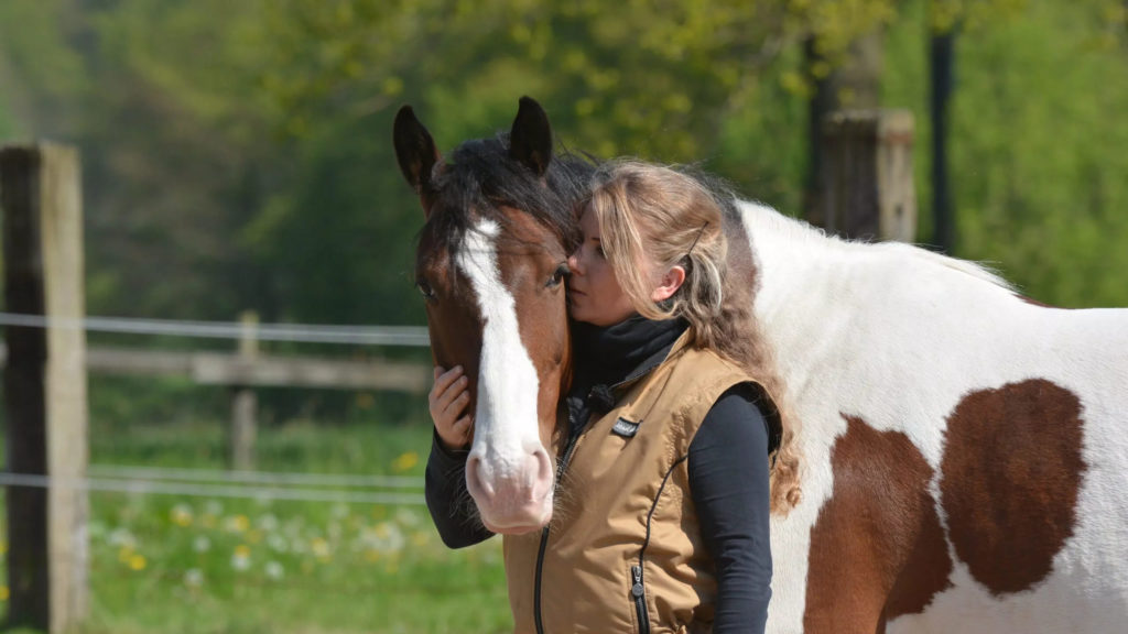 Horsemanship para Cavalos Atletas