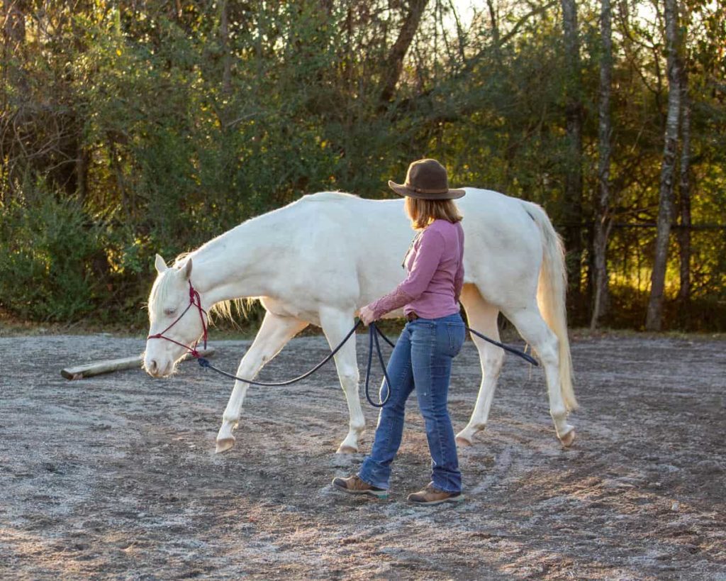 Horsemanship para Cavalos Atletas