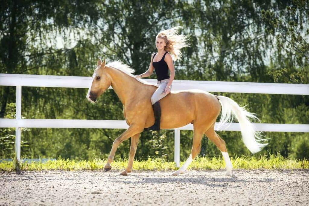 Horsemanship para Cavalos Atletas