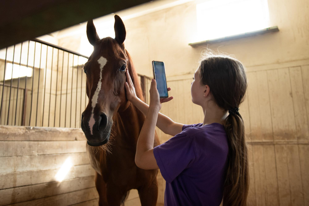 controle de prontuário veterinário