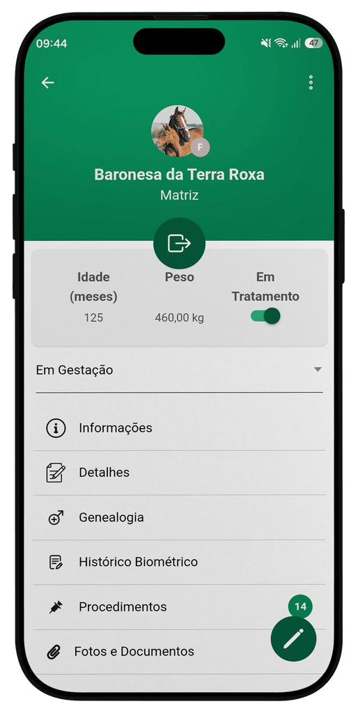 Prontuário veterinário Equinovet